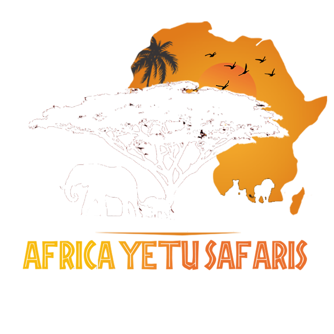 safari yetu adventures